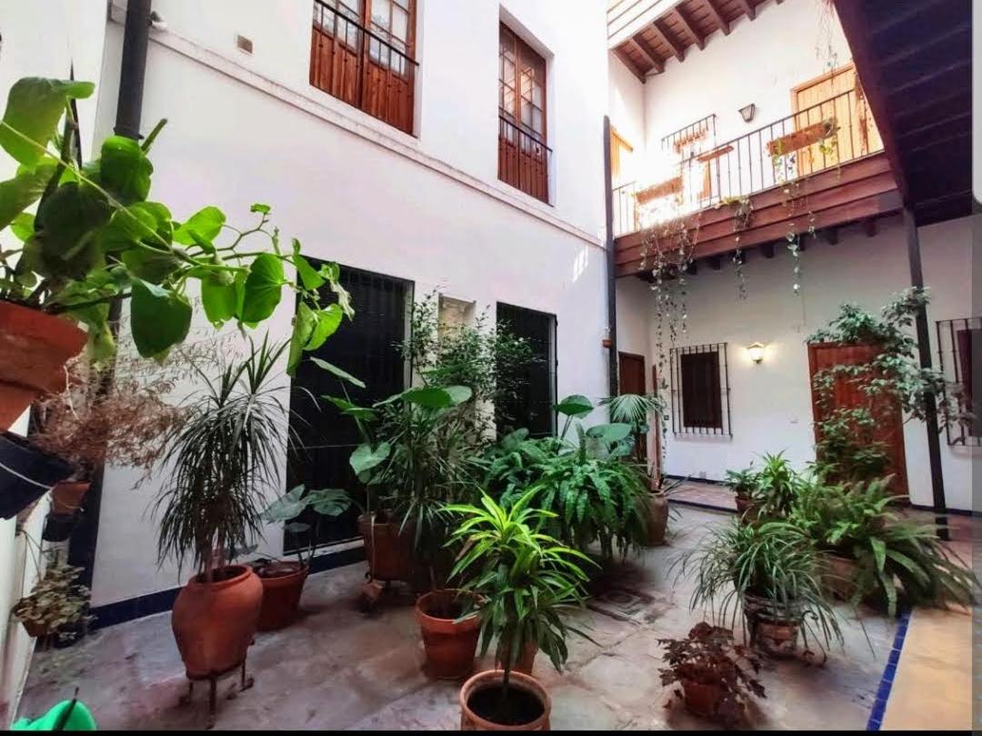 Coco Home Sevilla Urban Apartment Ngoại thất bức ảnh